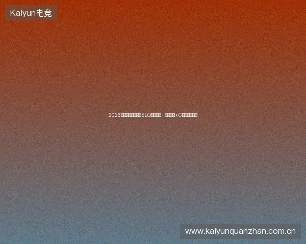 2026别洗漱池抓蜘蛛！SEO推广网站+百度收录+C语言函数大全